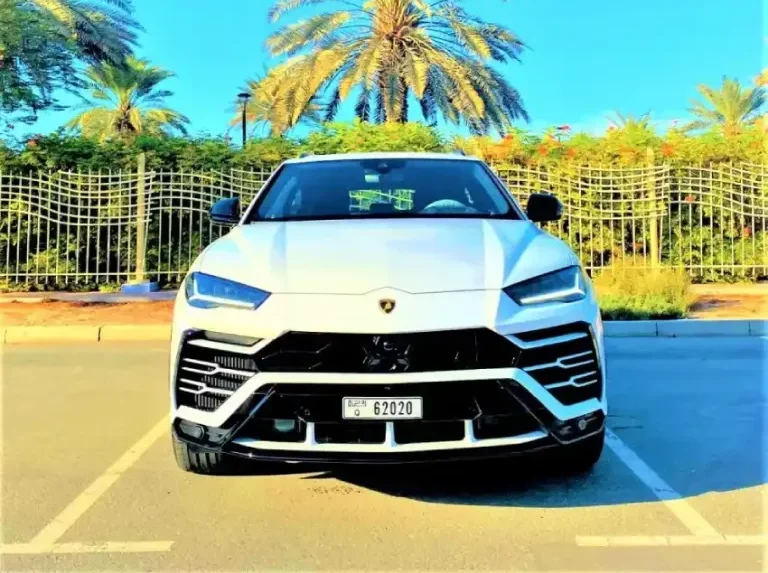 Lamborghini White in UAE